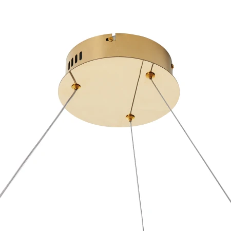 Lampa wisząca CIRCLE SLIM 80 LED złoty 80 cm ST-10112P-D800 - Step Into Design