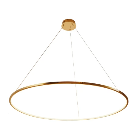 Lampa wisząca CIRCLE SLIM 120 LED złoty 120 cm ST-10112P-D1200 - Step Into Design