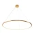 Lampa wisząca CIRCLE SLIM 120 LED złoty 120 cm ST-10112P-D1200 - Step Into Design
