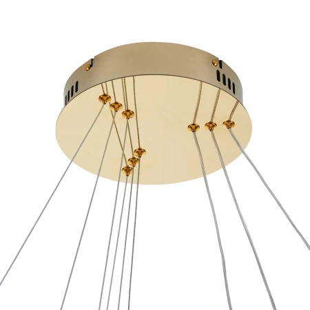 Lampa wisząca CIRCLE SLIM 40+60+80 LED złoty ST-10112P-3 - Step Into Design