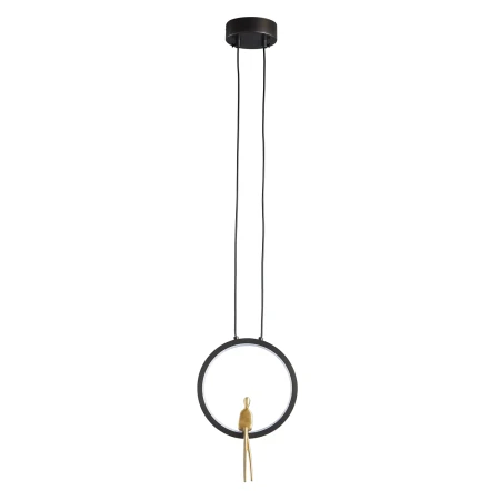 Lampa wisząca AMICI led czarno złota 27 cm ST-D7774 black - Step Into Design