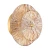 Lampa ścienna LUXIO LED bursztynowa 20 cm ST-3315-2 copper - Step Into Design