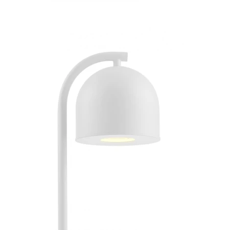 Kaspa lampa stołowa (Doniczka) BOTANICA XL 40848101