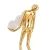 Lampa podłogowa WOMAN GOLD złoty połysk 180 cm F9312 gold - Step Into Design