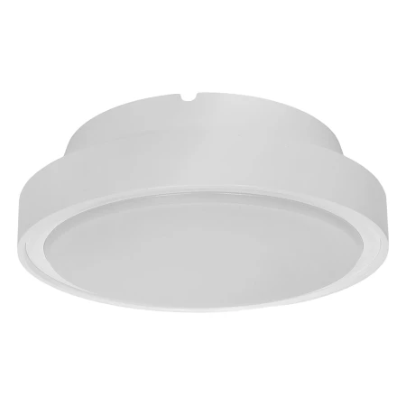 1363- Decorativi
