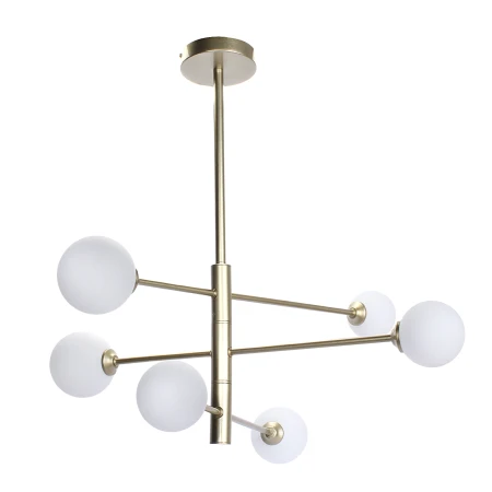 1246 - Decorativi