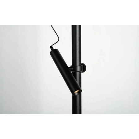 Lampa podłogowa BACKLIGHT+ M 42.7114 - Lampy Chors