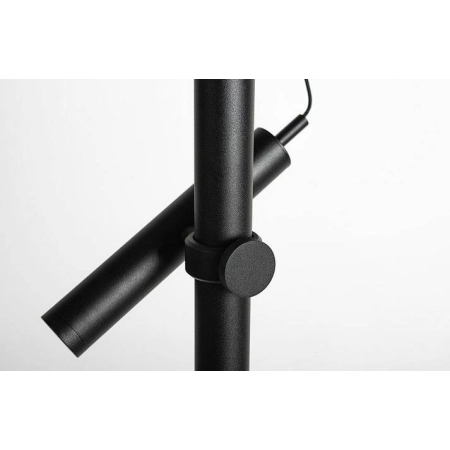Lampa podłogowa BACKLIGHT+ M 42.7114 - Lampy Chors