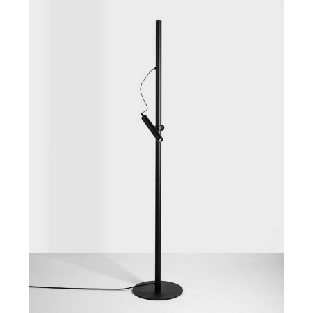 Lampa podłogowa BACKLIGHT+ M 42.7114 - Lampy Chors