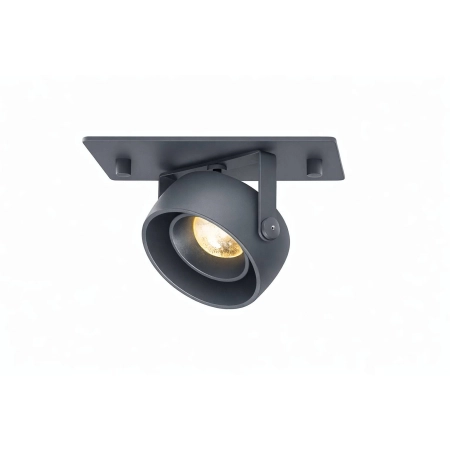 Reflektor wpuszczany D L11 30.3115 - Lampy Chors