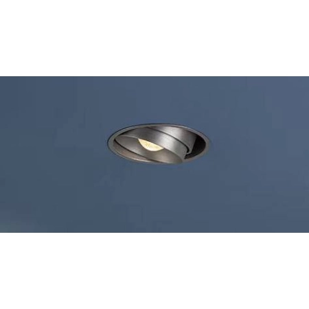 Lampa wpuszczana MAXIME R 100 IN 48.3125 - Lampy Chors