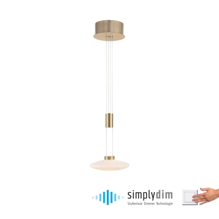 Lampa wisząca nowoczesna LAUTADA 2080-60 - Paul Neuhaus