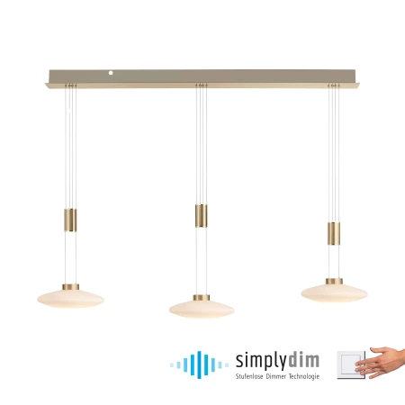 Lampa wisząca nowoczesna LAUTADA 2081-60 - Paul Neuhaus