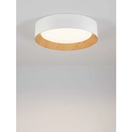 Lampa sufitowa nowoczesna nowoczesna  LEDOWEREGLA LE42680 - Luces Exclusivas