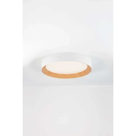 Lampa sufitowa nowoczesna nowoczesna  LEDOWEREGLA LE42681 - Luces Exclusivas