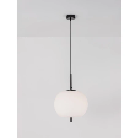 MARC LE42718