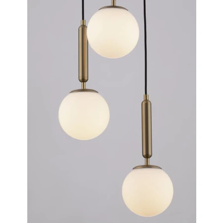 AGRO LE43223