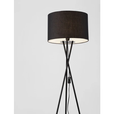 ACACIA LE43446