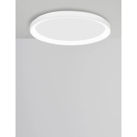 ROTA LE43520