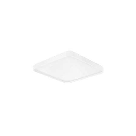 AGOSTA LE43604