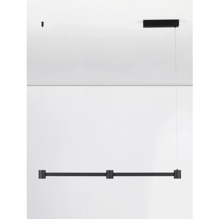 PISCO LE44354