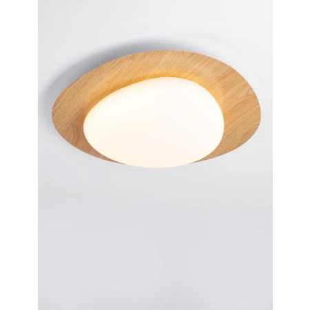 ISIDRO LE44416