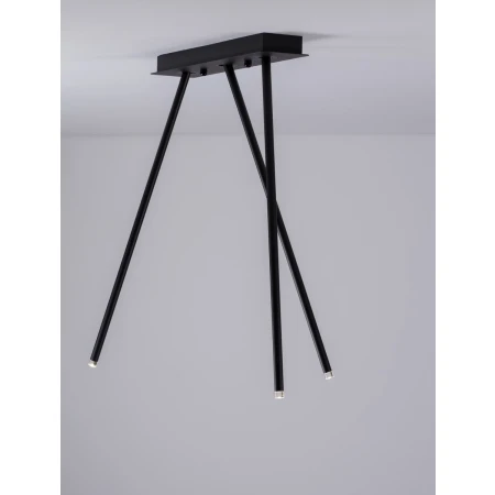 ARANI LE44706