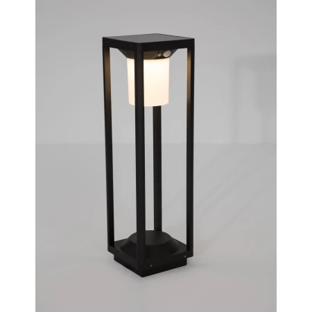 GIBRALEON LE71550