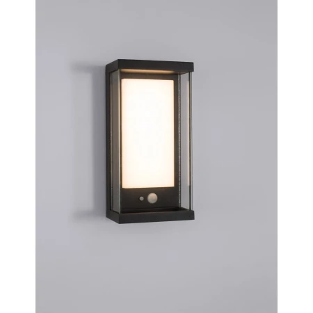 BETANCOURT LE71551
