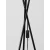 ACACIA LE43446