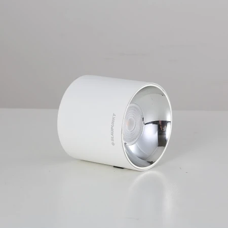 Lampa LED natynkowa Spot Roller 10W biały barwa naturalna DLW10NW - Blaupunkt
