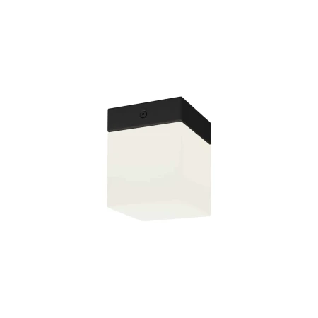 Lampa sufitowa SIS 8054 - Nowodvorski
