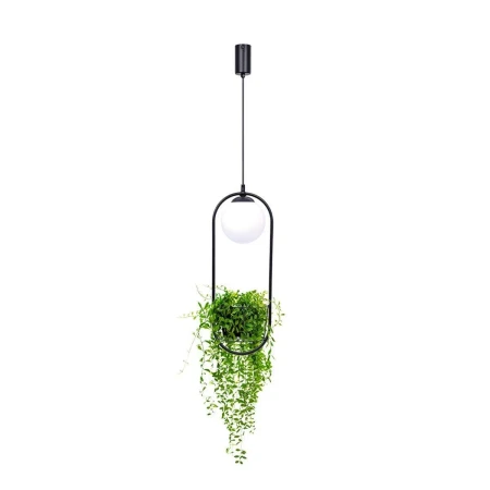 Lampa wisząca PLANT 1 5003 - Zuma Line