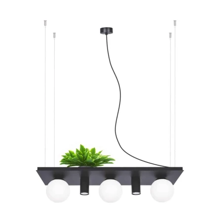 Lampa wisząca kwietnik PLANT 5555 - Zuma Line