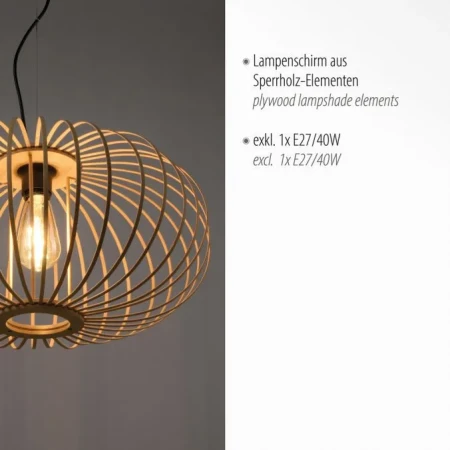 Lampa loft wisząca RACOON 11409-79 - Paul Neuhaus