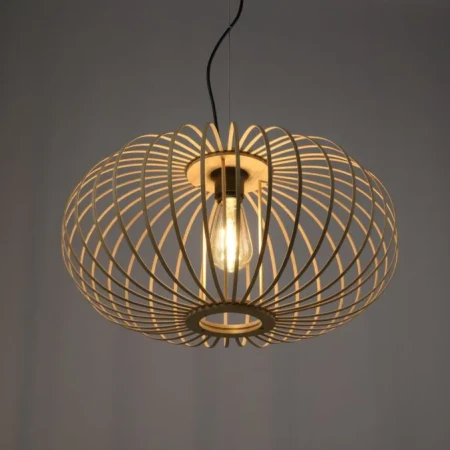 Lampa loft wisząca RACOON 11409-79 - Paul Neuhaus