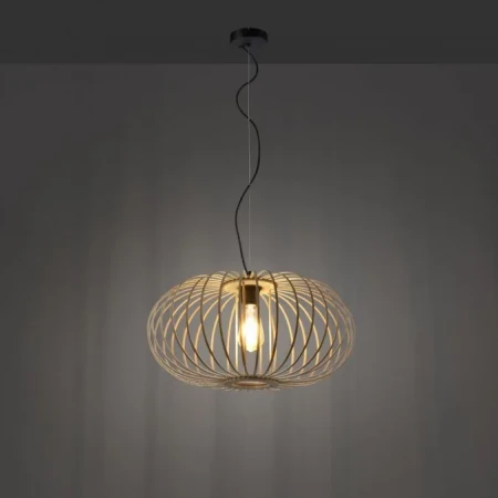 Lampa loft wisząca RACOON 11409-79 - Paul Neuhaus