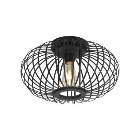 Lampa sufitowa RACOON 11410-18 - Paul Neuhaus