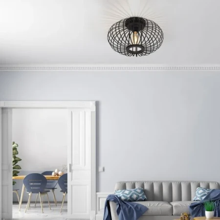 Lampa sufitowa RACOON 11410-18 - Paul Neuhaus