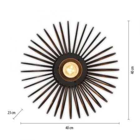 Lampa sufitowa RACOON 11410-18 - Paul Neuhaus