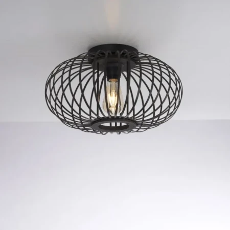 Lampa sufitowa RACOON 11410-18 - Paul Neuhaus