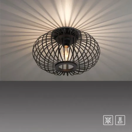 Lampa sufitowa RACOON 11410-18 - Paul Neuhaus