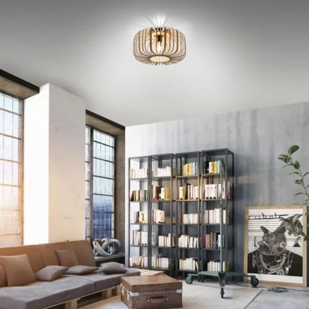 Plafon loft RACOON 11413-79 - Paul Neuhaus