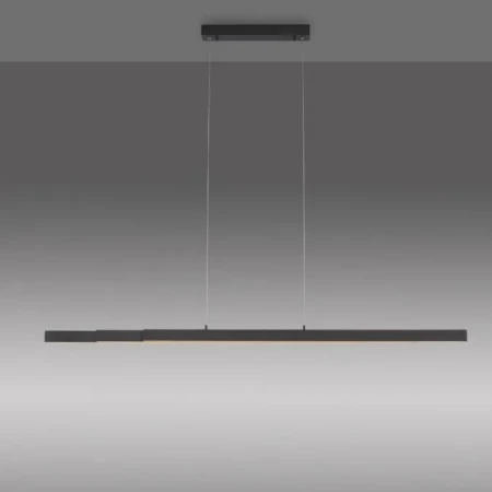 Lampa wisząca nowoczesna LUZI 11660-13 - Paul Neuhaus