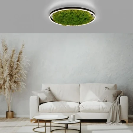 Lampa sufitowa GREEN RITUS 15392-66 - Paul Neuhaus