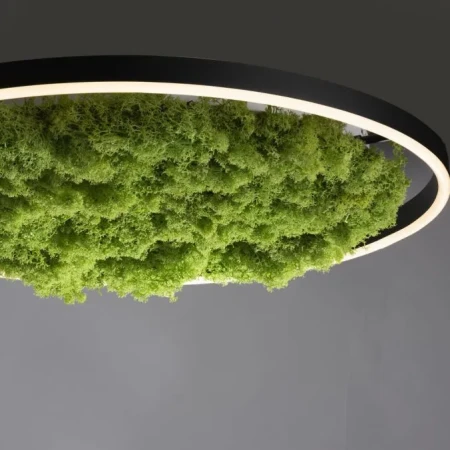 Lampa sufitowa GREEN RITUS 15392-66 - Paul Neuhaus