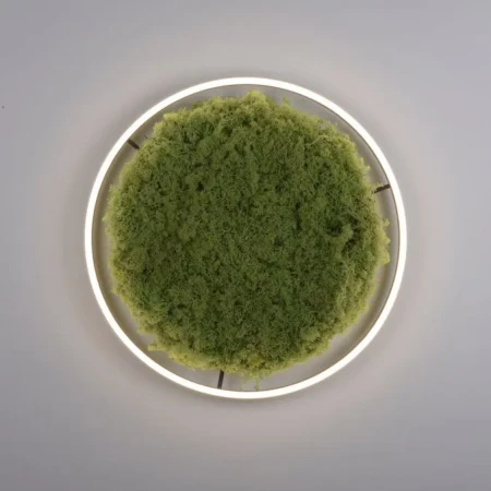 Lampa sufitowa GREEN RITUS 15392-66 - Paul Neuhaus