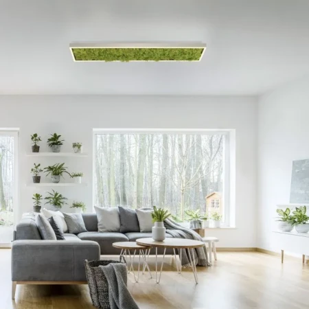 Lampa sufitowa LED GREEN KNUT 15623-66 - Paul Neuhaus