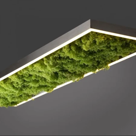 Lampa sufitowa LED GREEN KNUT 15623-66 - Paul Neuhaus