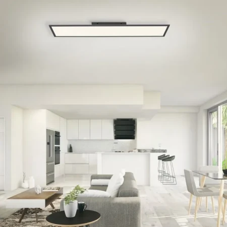 Plafon nowoczesny FLAT 16533-18-O - Paul Neuhaus